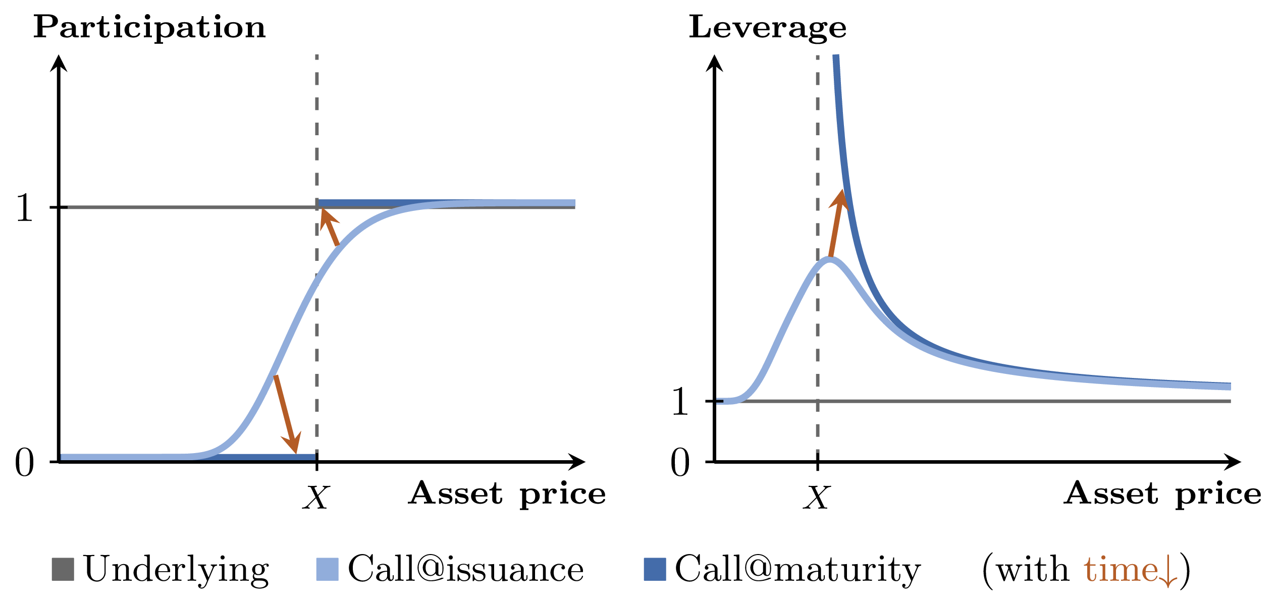 Participation and leverage of a call option at issuance and maturity